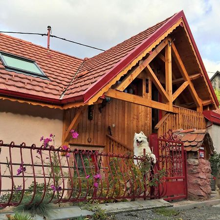 Gite Du Durrenbach Lautenbach エクステリア 写真