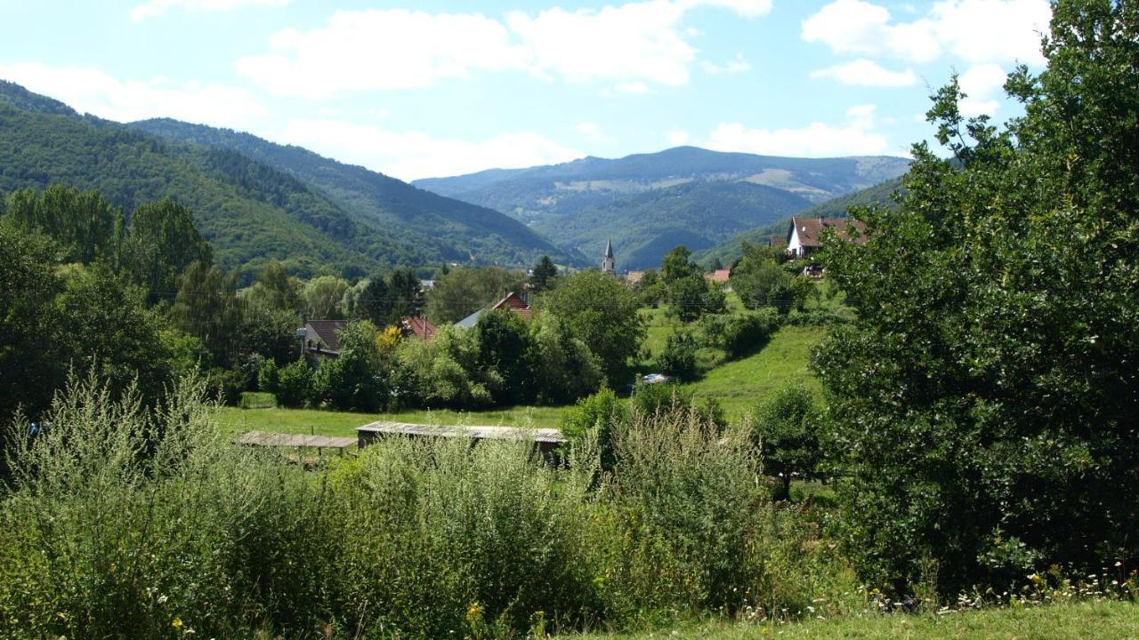 Gite Du Durrenbach Lautenbach エクステリア 写真
