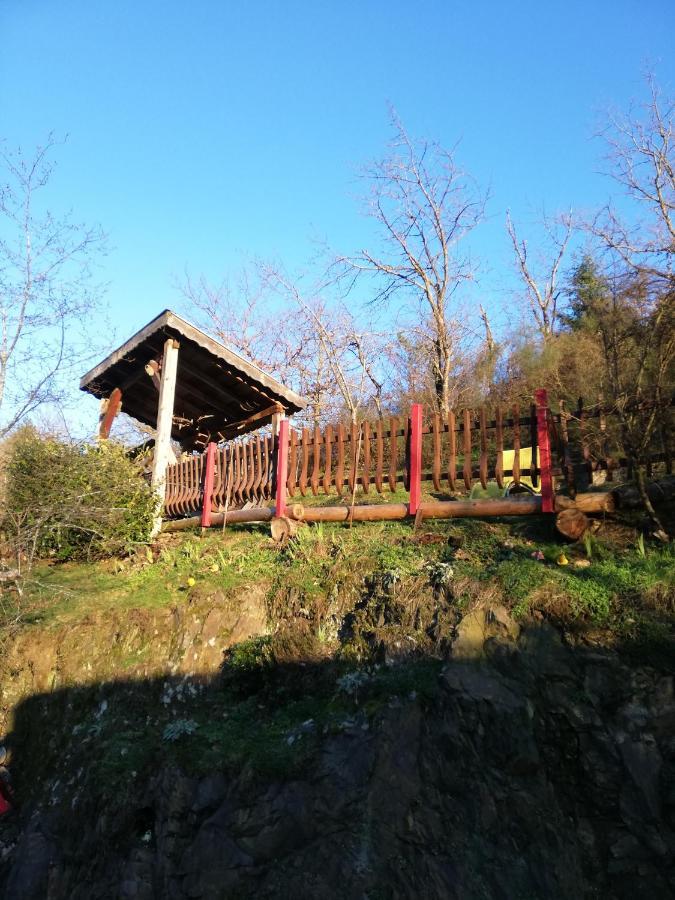 Gite Du Durrenbach Lautenbach エクステリア 写真